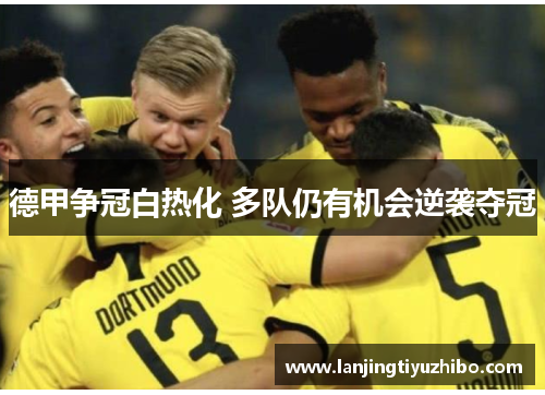 德甲争冠白热化 多队仍有机会逆袭夺冠