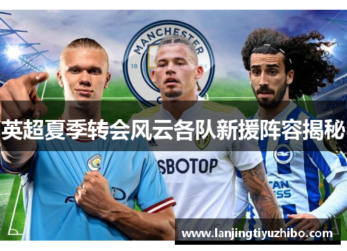 英超夏季转会风云各队新援阵容揭秘 英超夏季转会风云各队新援阵容揭秘